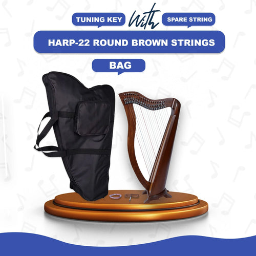 22 String Lever Harp – Celtic Irish Professional Model - Echo Harps