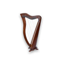 Musical Instrument 22 Strings Lever Celtic Irish Harp - Echo Harps
