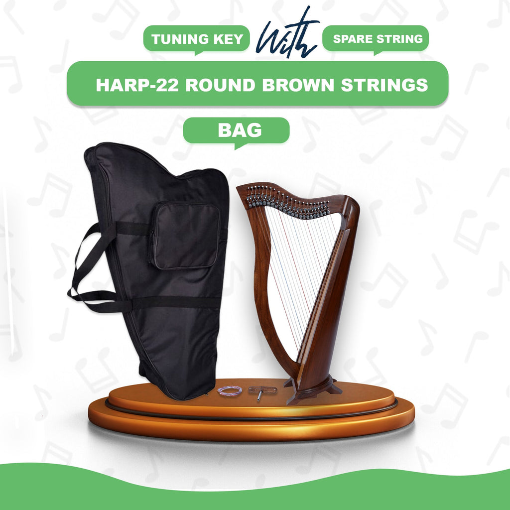 Musical Instrument 22 Strings Lever Celtic Irish Harp - Echo Harps