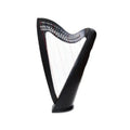 Musical Instrument Black 22 String Lever Harp Celtic Irish Style Carrying Bag Strings and Tuner - Echo Harps