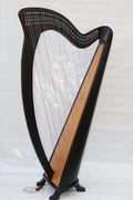 Musical Instrument Black 38 String Lever Harp Celtic Irish Style Carrying Bag Strings and Tuner - Echo Harps